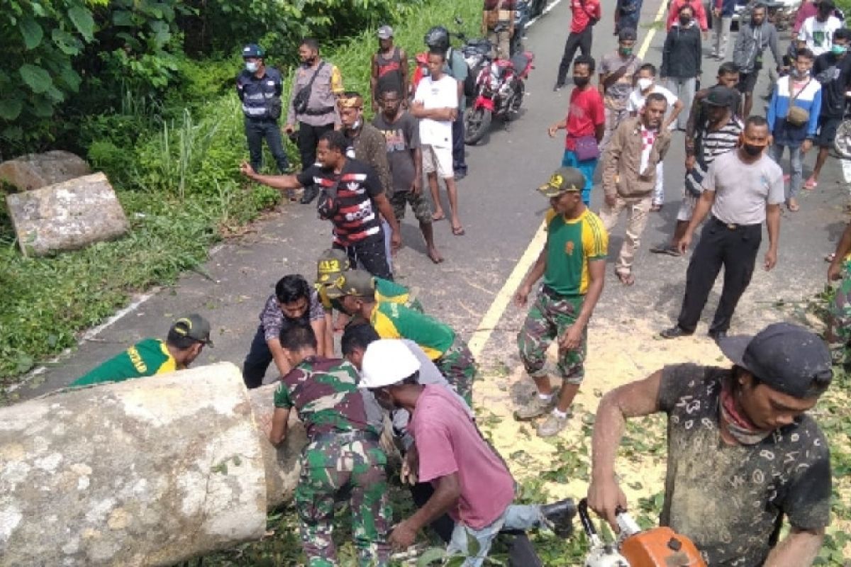 Prajurit Satgas Yonif MR 413 bersihkan pohon tumbang di jalan perbatasan RI-PNG