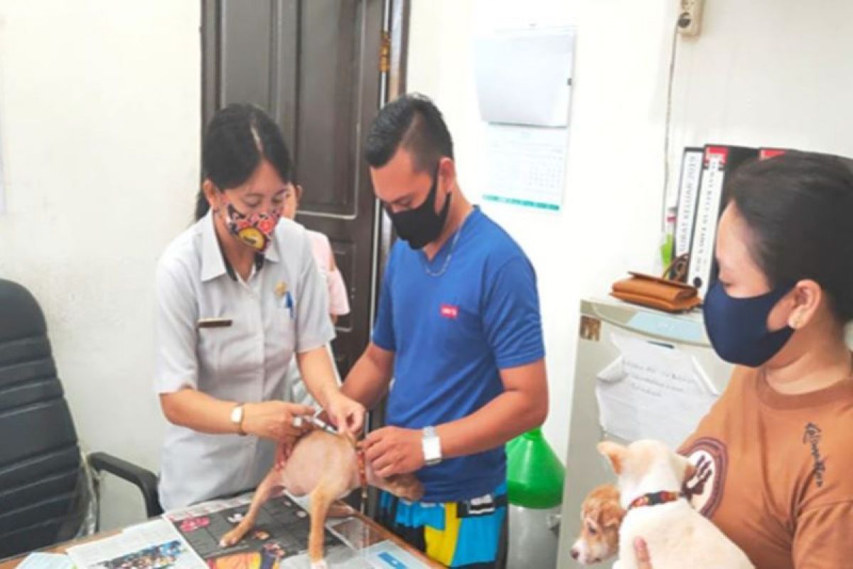 Distan Gumas lakukan vaksinasi rabies di delapan kecamatan sepanjang 2020