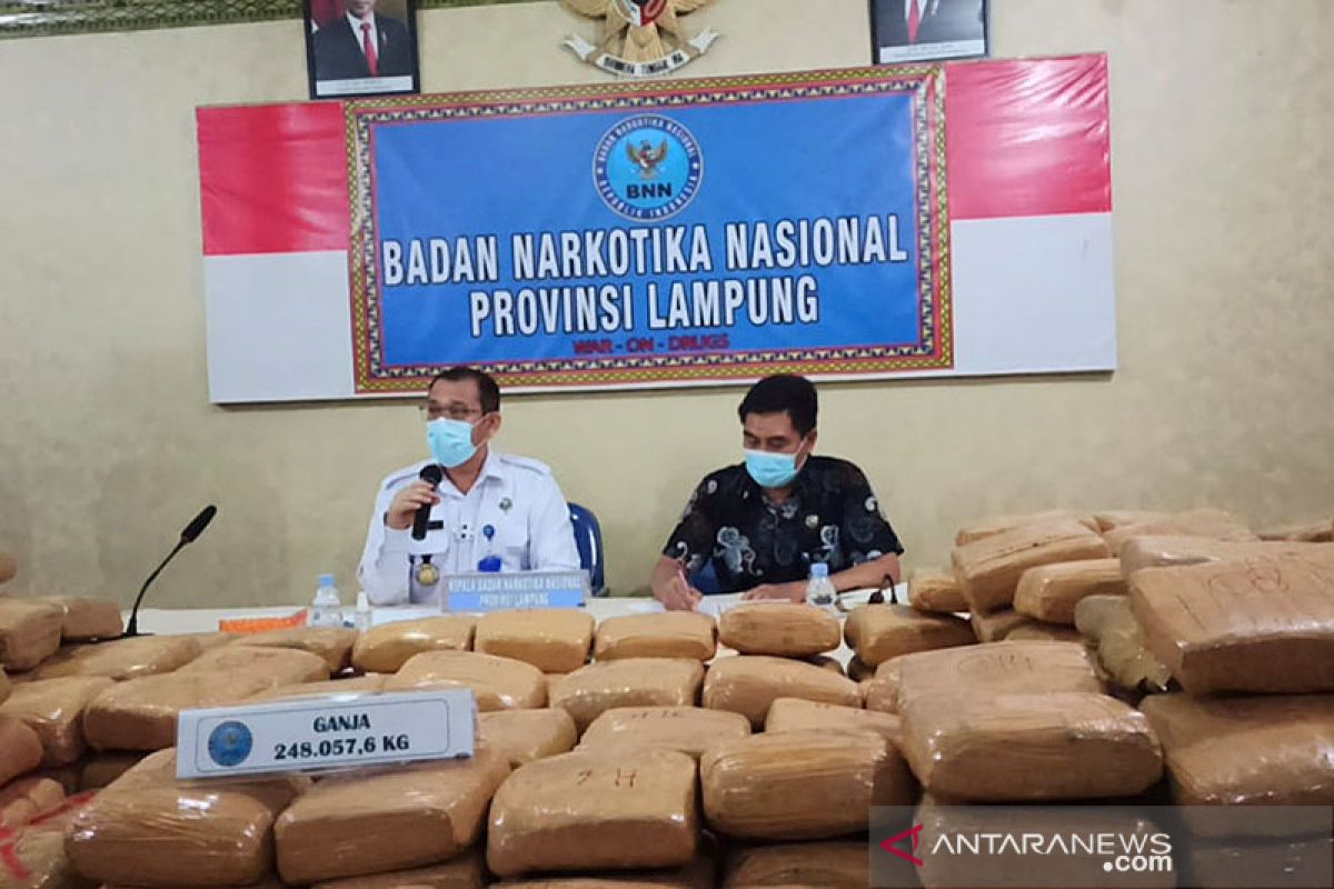 BNNP Lampung menggagalkan pengiriman 248,057 kilogram ganja