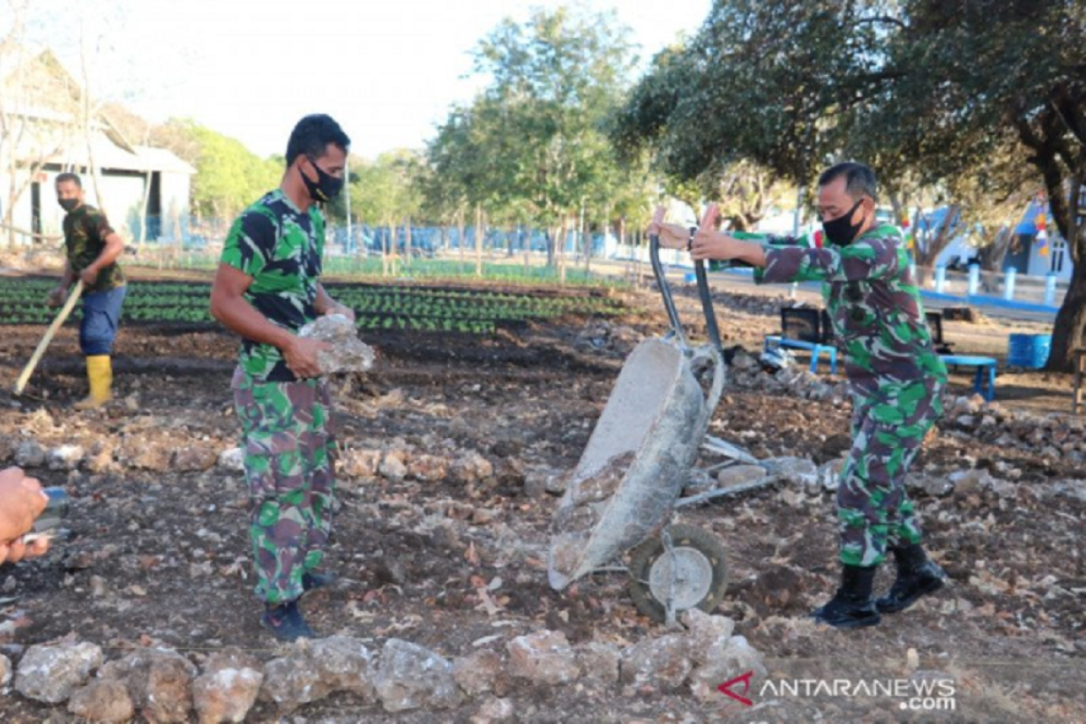 TNI AU ubah tanah berkarang menjadi kebun sayur