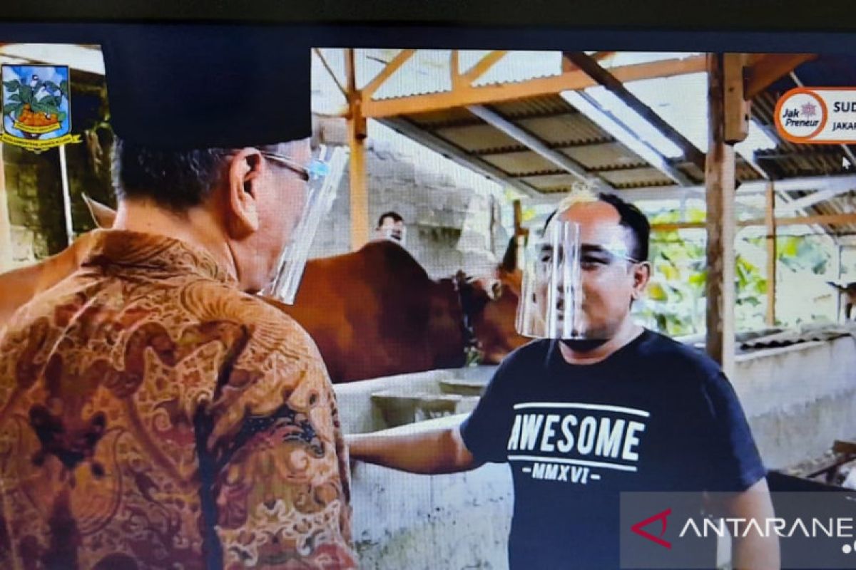 Azis Gagap bagi pengalaman jadi peternak sapi  potong perkotaan