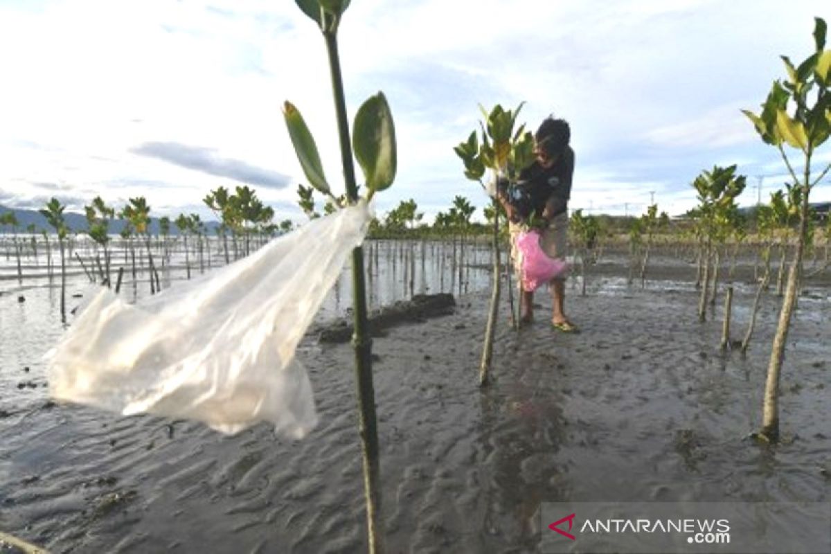 Aksi bersih sampah kawasan konservasi Mangrove