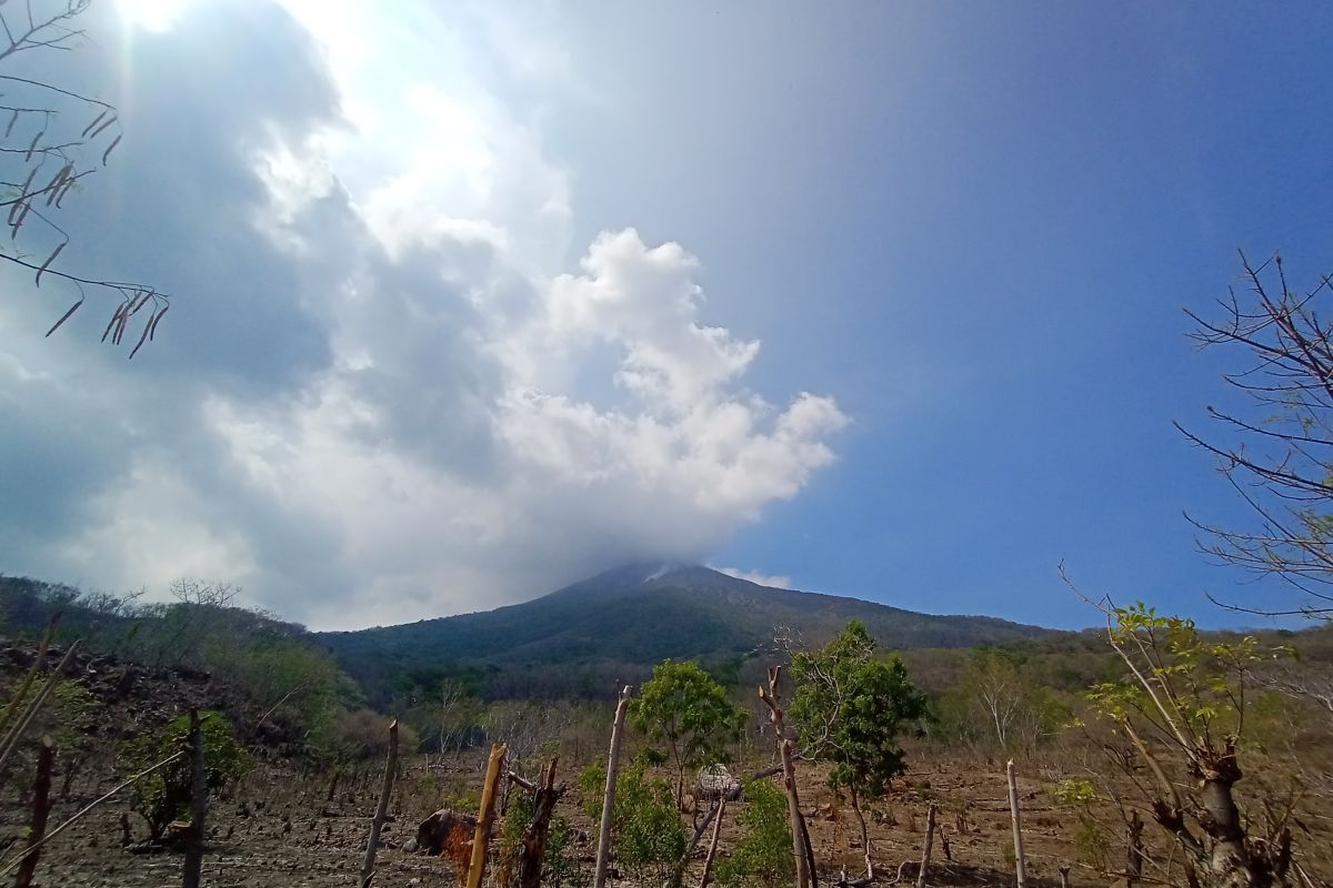 Gunung Ili Lewotolok kembali erupsi