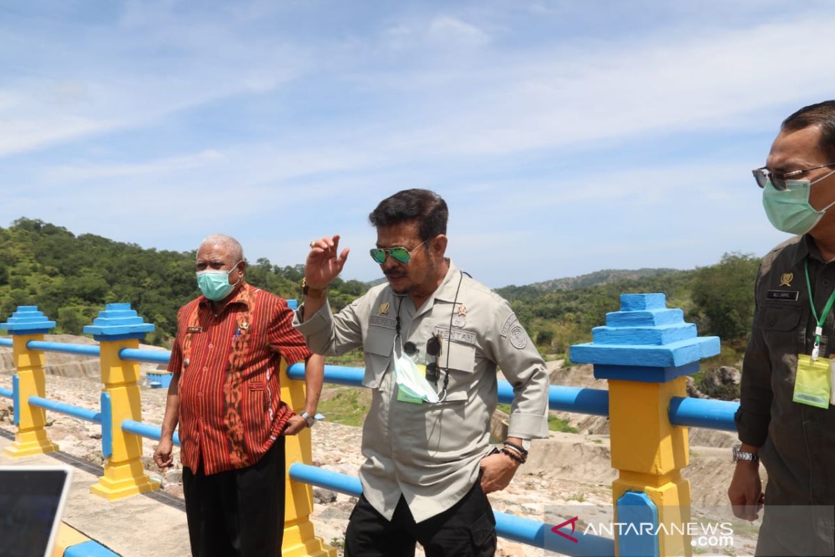 Menteri Pertanian  tinjau kawasan food estate baru di NTT