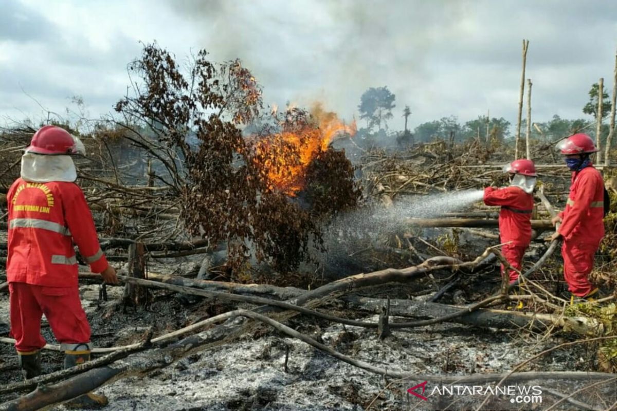 Lahan gambut di Musi Banyuasin terbakar, tim gabungan berjibaku 24 jam