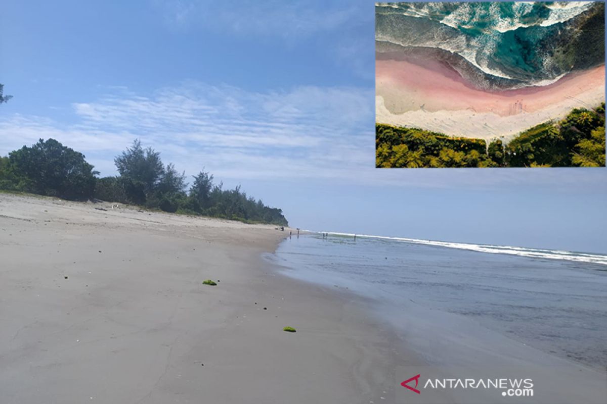 Foto pantai pasir pink di Teluk Sepang Bengkulu, ternyata editan