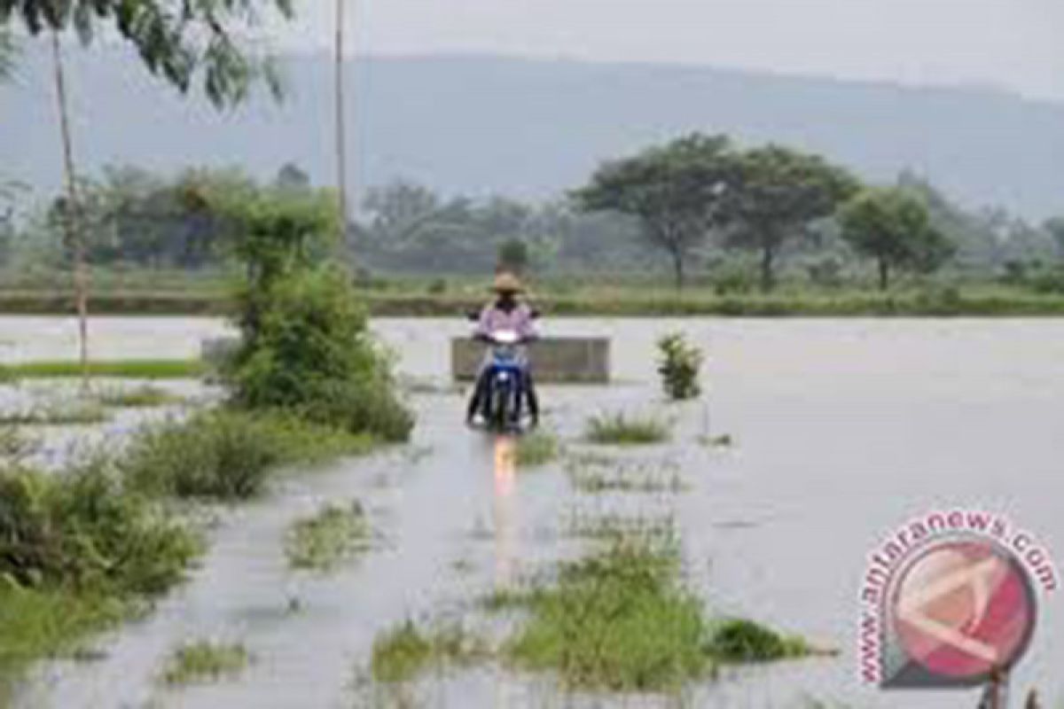 Dinas Pertanian Tulungagung catat 116 hektare padi puso akibat banjir