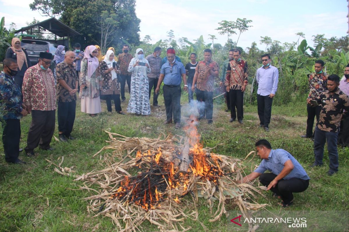 Secara serentak, Pidie basmi hama tanaman pakai teknik pengasapan