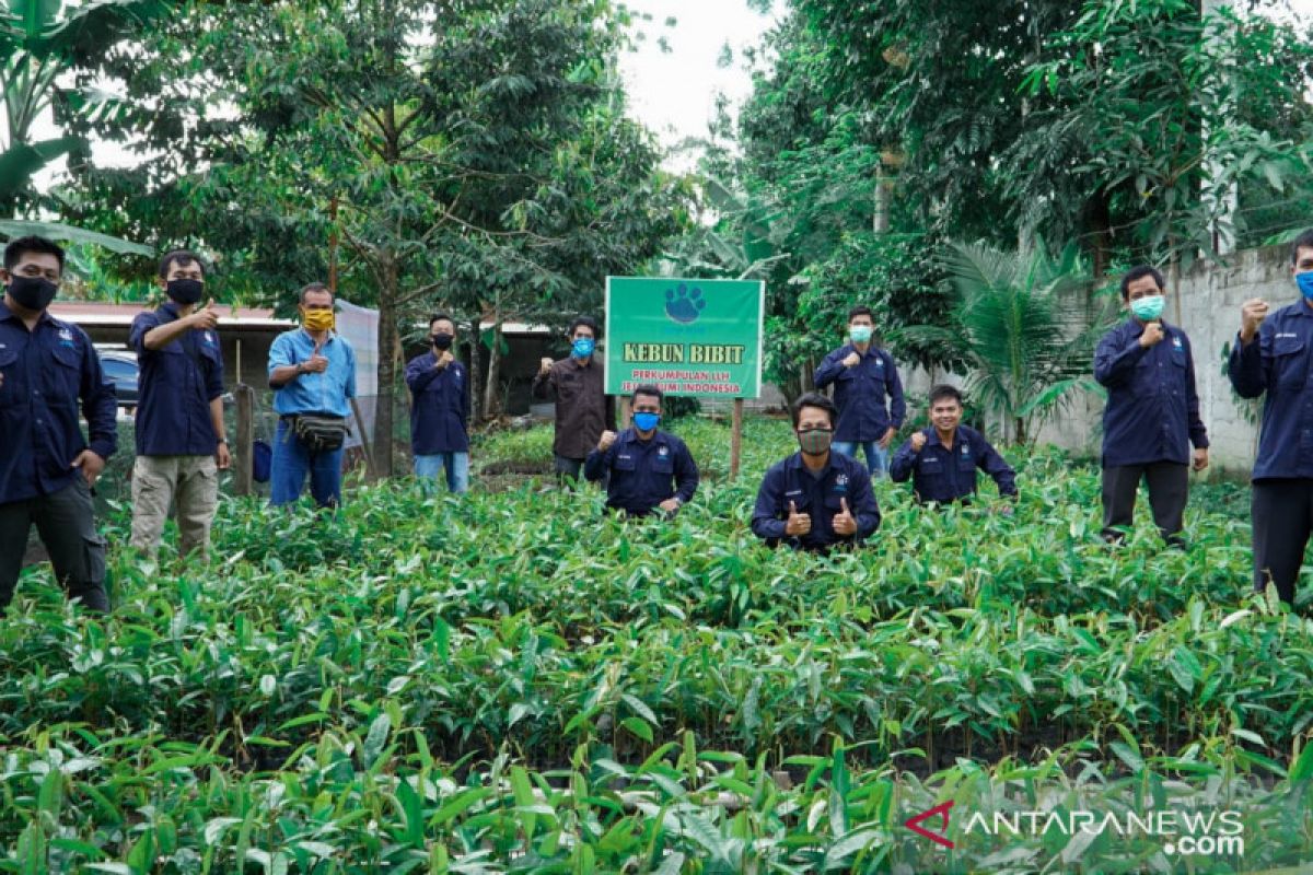 JBI tanam 100.000 bibit pohon di sembilan  kabupaten/kota di Sumsel