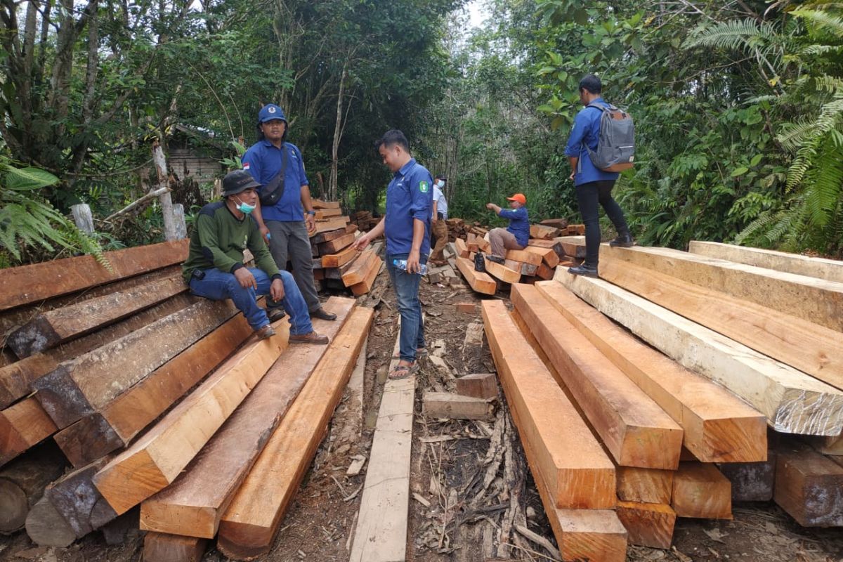 Polisi belum tetapkan tersangka kasus dugaan ilegal logging Kapuas Hulu