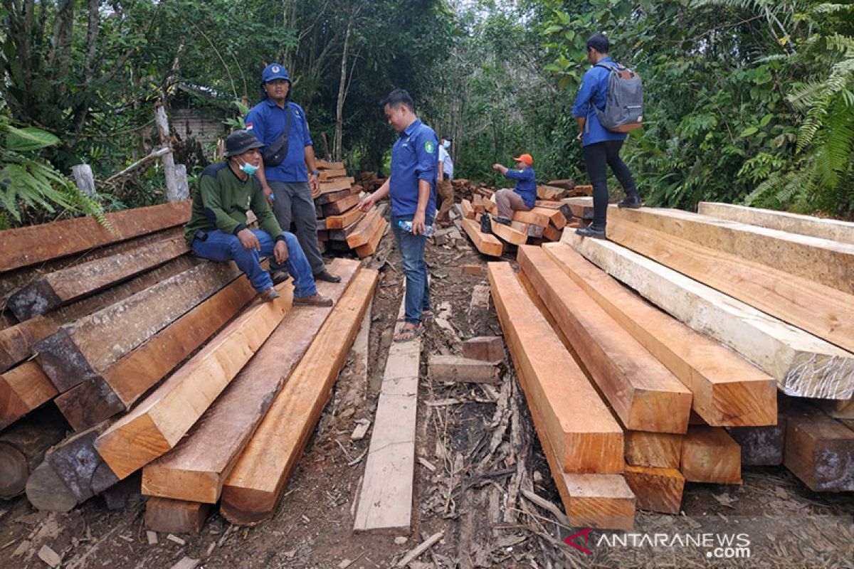 KPH: Pelaku ilegal logging mendatangkan pekerja dari luar Kapuas Hulu