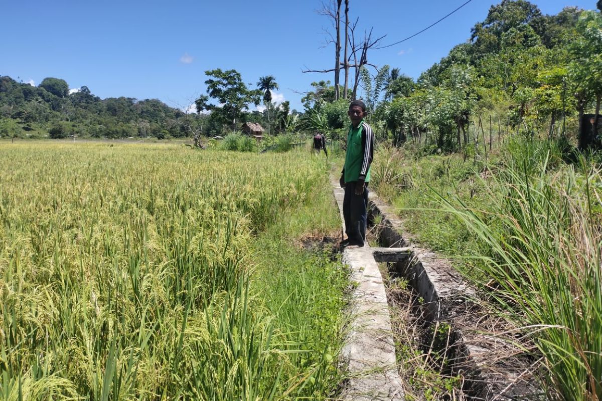Di Aceh Jaya, pompanisasi air untuk sawah tak berfungsi sejak dibangun 2015