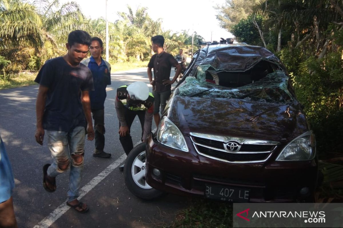 Satu orang meninggal dunia dalam laka tunggal di Aceh Jaya