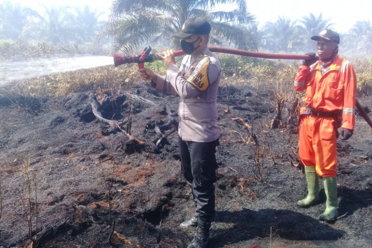 Cuaca panas picu meluasnya kebakaran lahan sawit di Agam-Sumbar