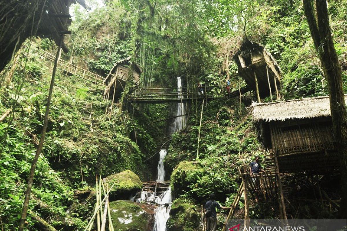 Pengelola wisata rumah pohon di Donggala berharap dukungan pemerintah