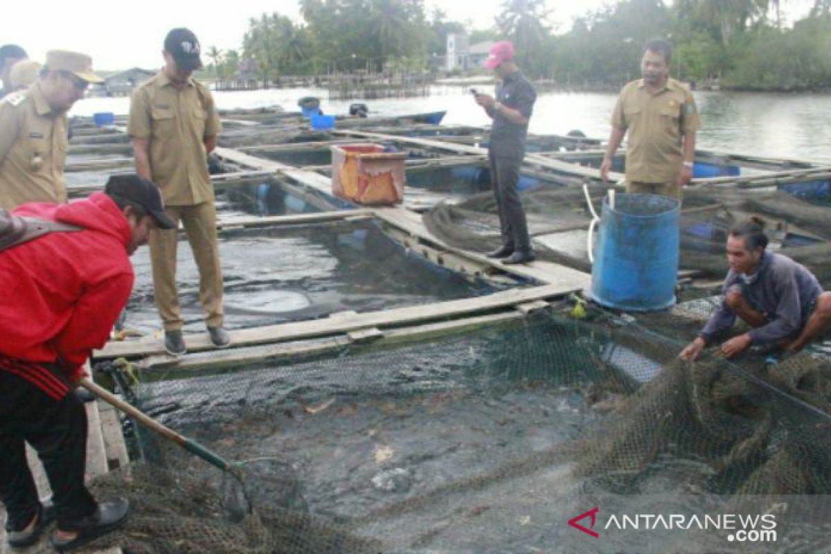 Bupati Belitung tawarkan peluang investasi sektor perikanan