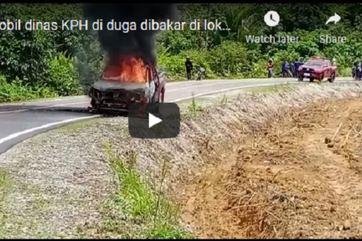 Kemarin kecelakaan speed boat hingga mobil KPH terbakar di lokasi penebangan ilegal