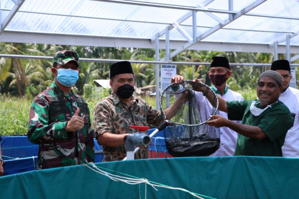 Ketua DPRD Inhil panen ikan di Ponpes Abdurrahman Sidiq II Tembilahan