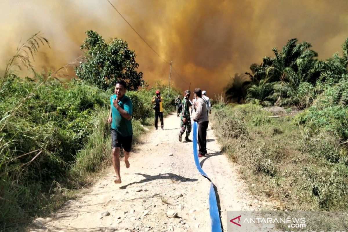 Lahan gambut terbakar di Madina