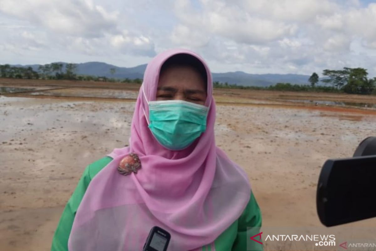 Pemkot Kendari salurkan 36 unit alsintan kepada petani