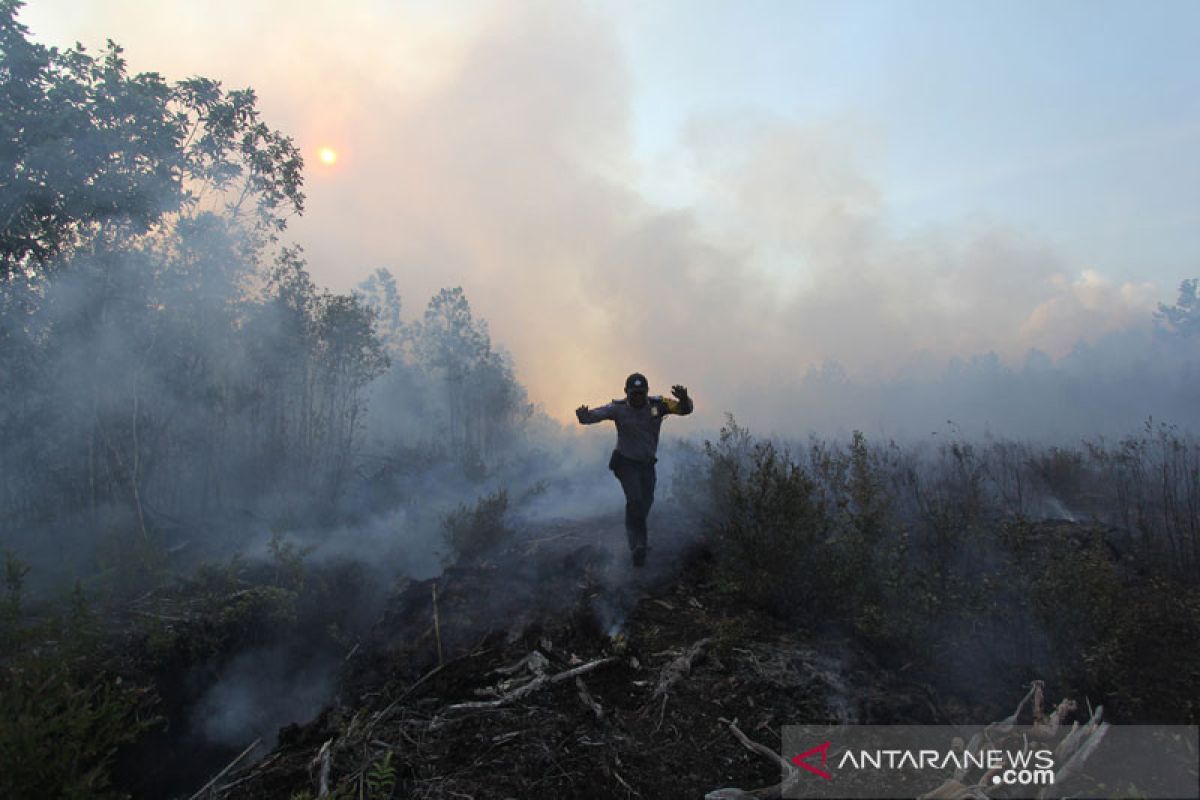 Jumlah titik panas indikasi karhutla meningkat drastis di Riau