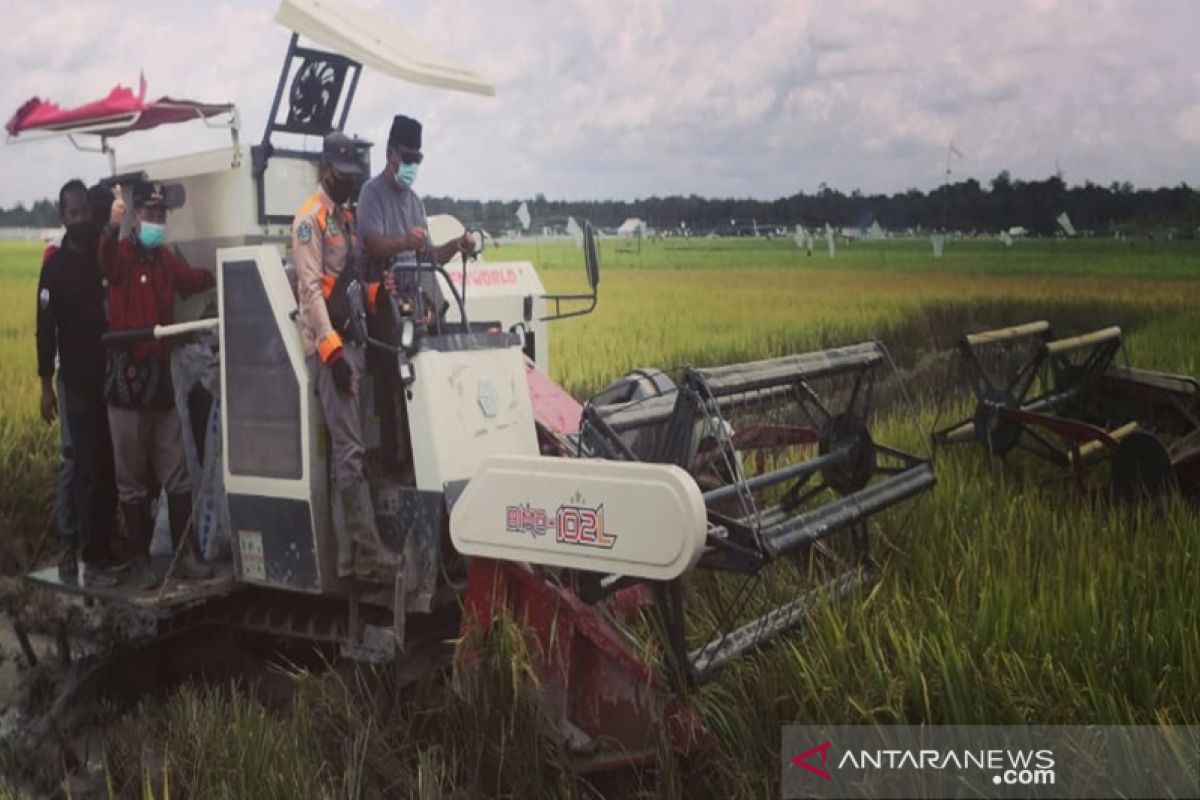 Sahbirin bangga pencapaian pertanian padi di Tapin