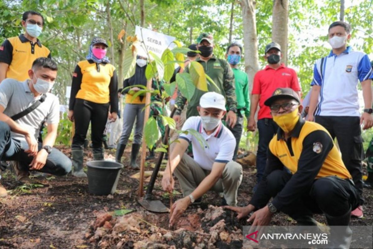 Tanah Bumbu collaborates with Forestry to green bare forest