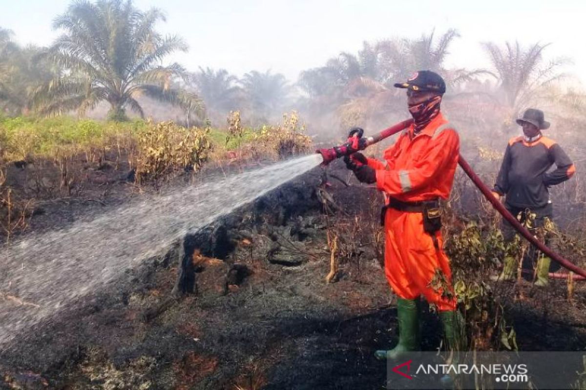 Sumber air jadi kendala pemadaman perkebunan sawit di Agam