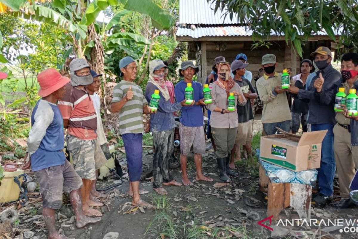 Dinas Tanaman Pangan Sultra bantu Insektisida petani Kolaka