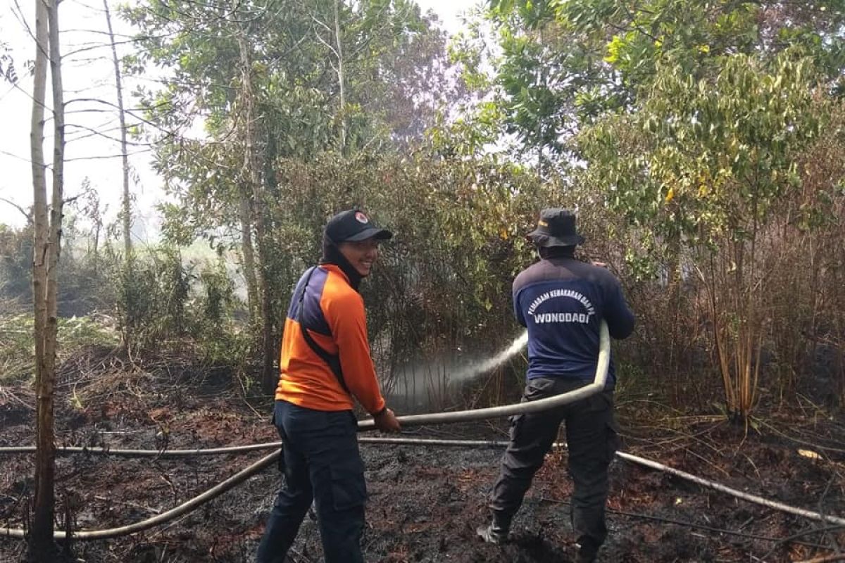 BPBD Kubu Raya intensifkan patroli cegah kebakaran hutan-lahan