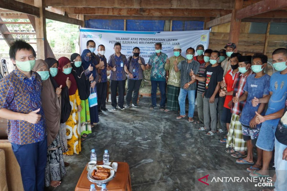 PLN bantu petani bawang basmi hama lewat "Electrifying Agriculture"