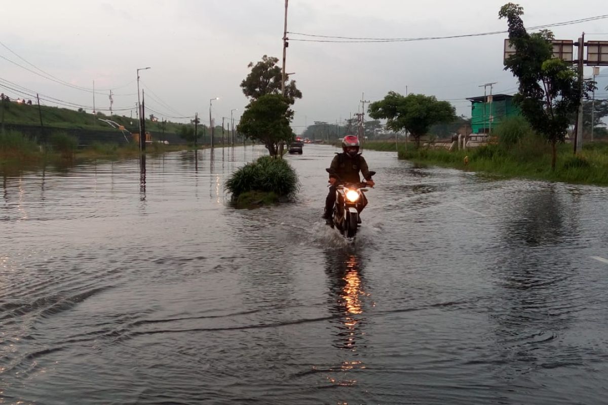 Banjir merendam sejumlah wilayah di Sidoarjo