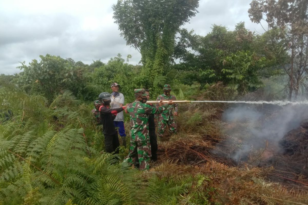 Lahan HGU PT Cemerlang Abadi di Abdya terbakar