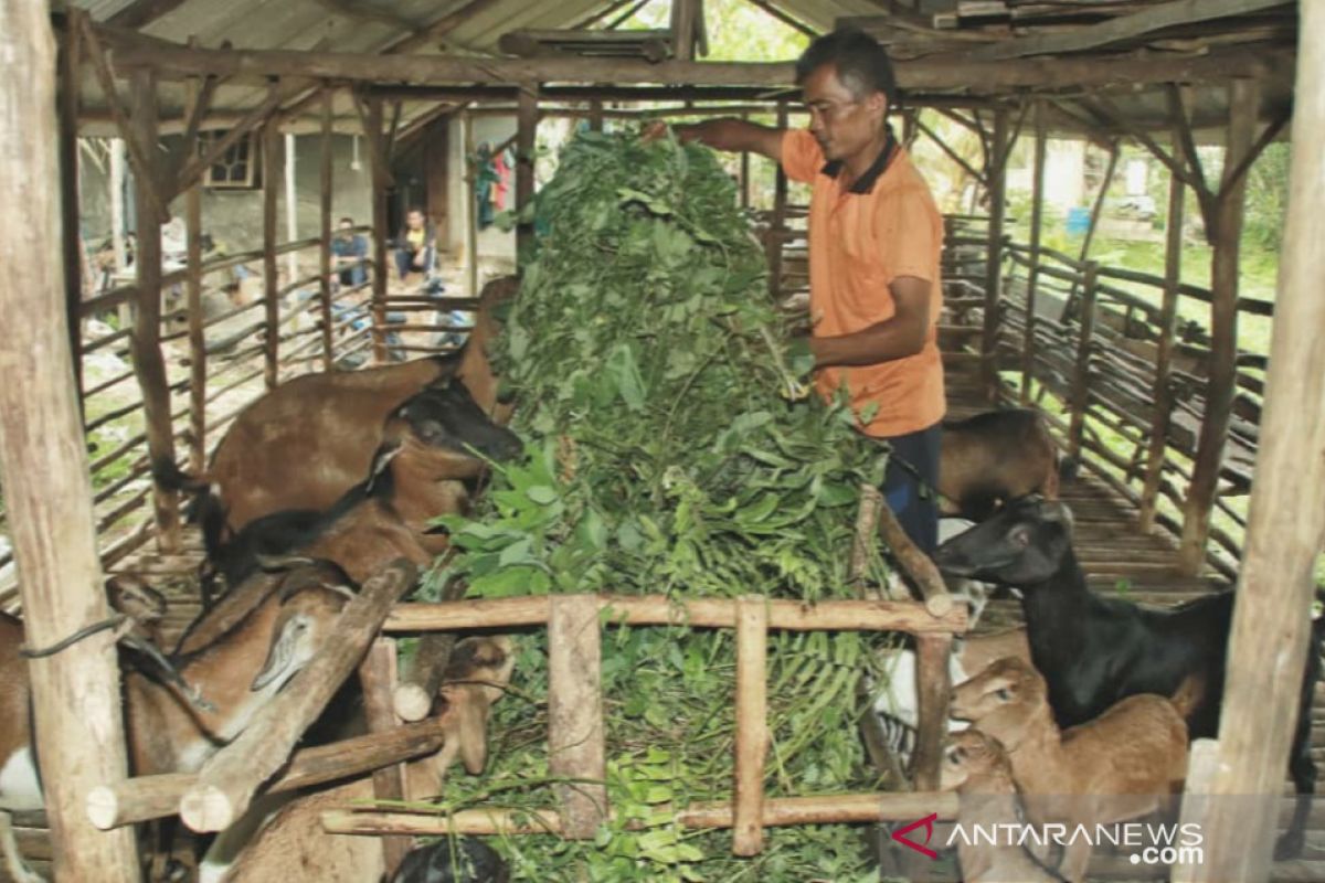 COVID-19 picu kenaikan jumlah penduduk miskin di Provinsi Kepri