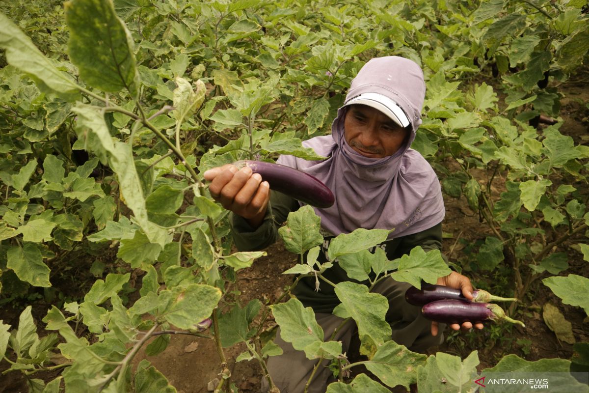 Pemkab Mojokerto dorong petani miliki nilai tambah aktivitas usaha