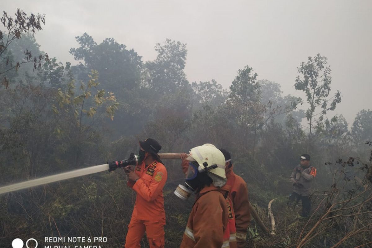 SAR Pontianak ikut padamkan kebakaran hutan dan lahan