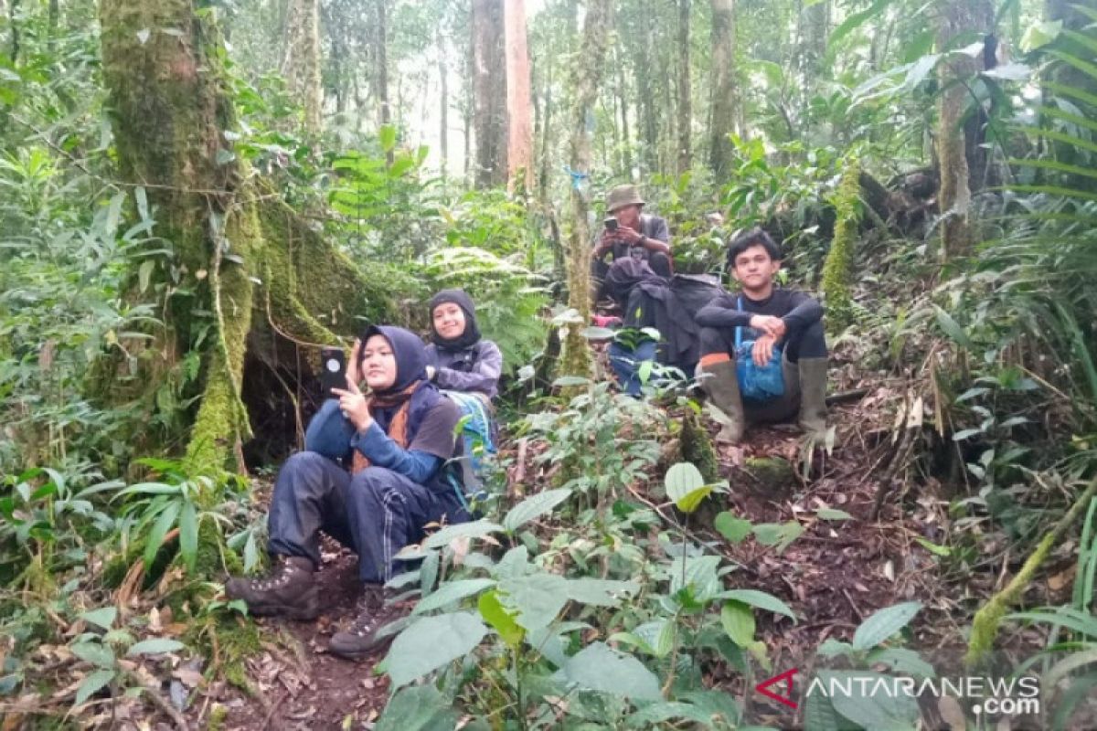 Tiga mahasiswi pendaki gunung Masurai ditemukan selamat, tersesat setelah turun lebih awal