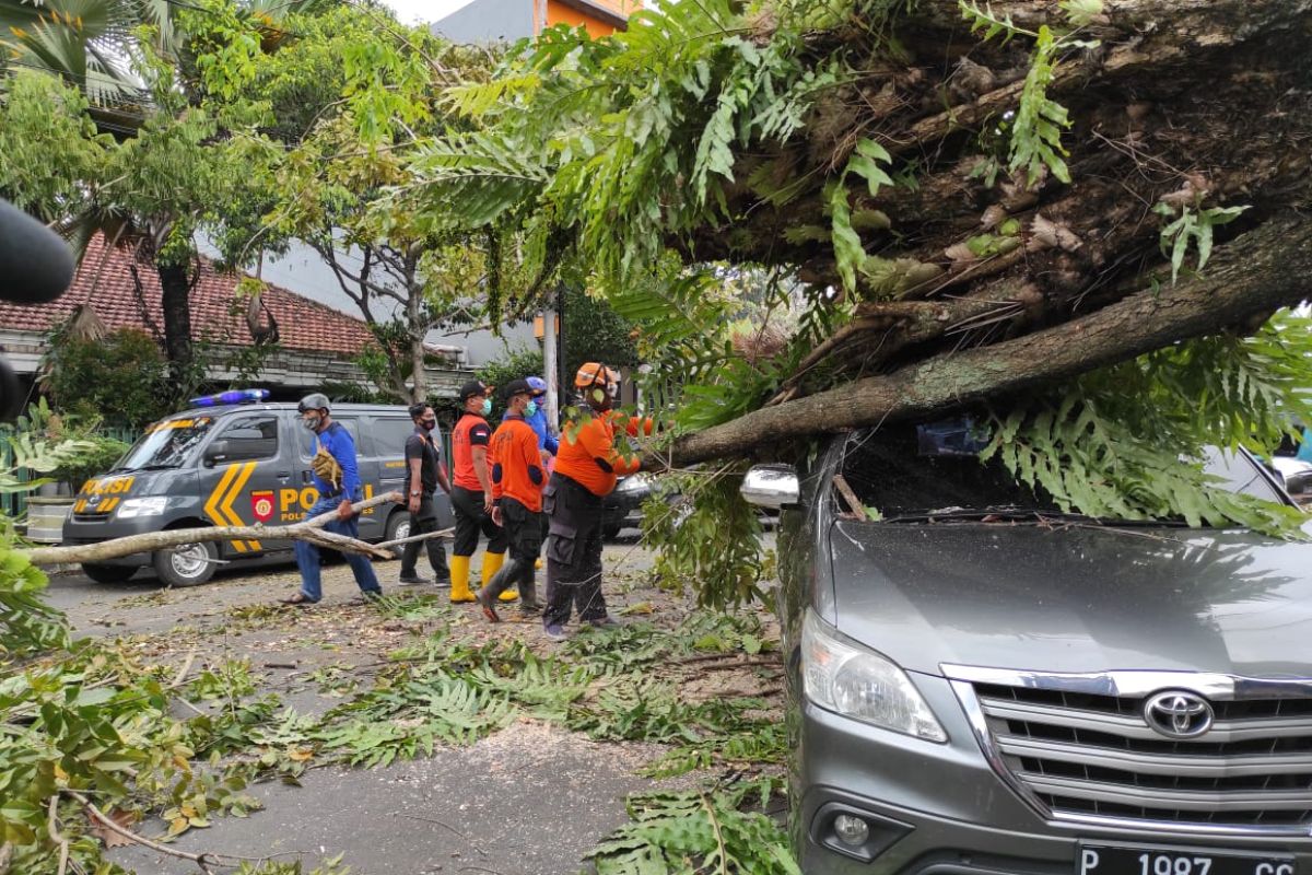 Mobil dan motor tertimpa pohon akibat puting beliung, sejumlah orang terluka