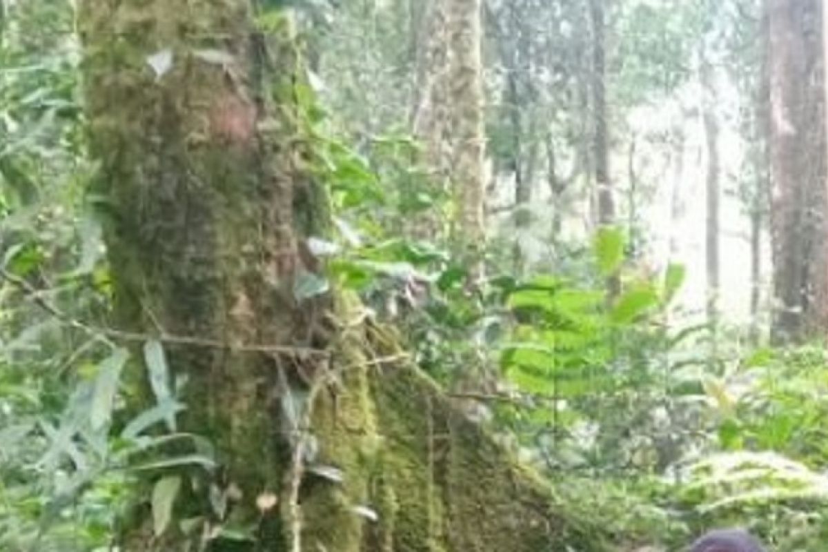 Ada apa dengan Gunung Masurai, tempat tiga mahasiswi sempat tersesat