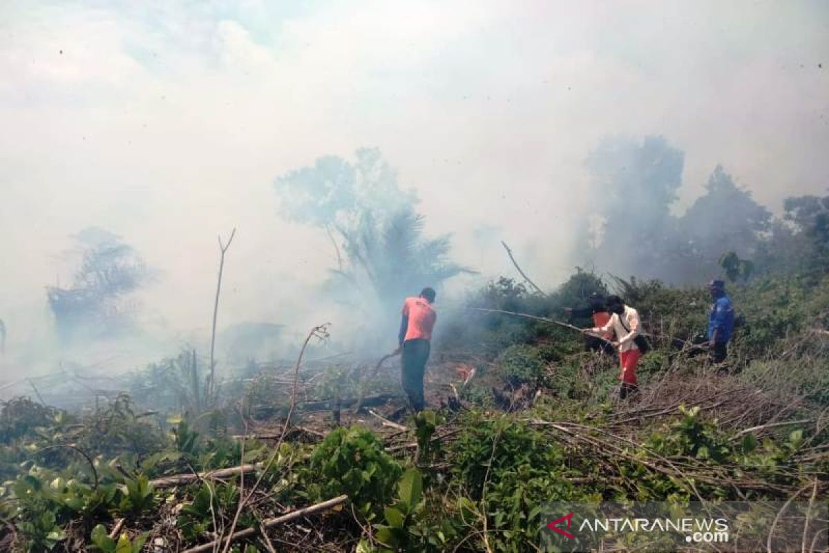 Kebakaran lahan gambut di Nagan Raya masih sulit dipadamkan