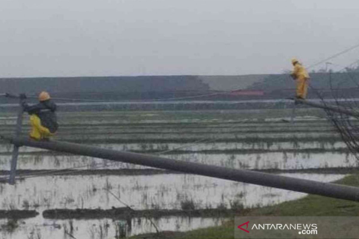 PLN perbaiki 12 tiang listrik roboh di Bekasi