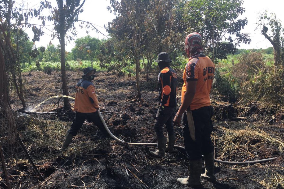 Empat hektare lahan milik warga di Inhil terbakar, begini penjelasannya