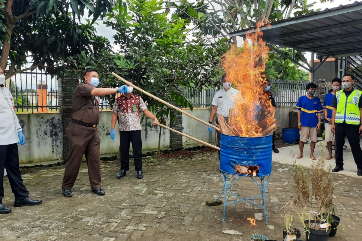 BNNP Banten musnahkan barang bukti narkoba ganja dan sabu-sabu asal Aceh