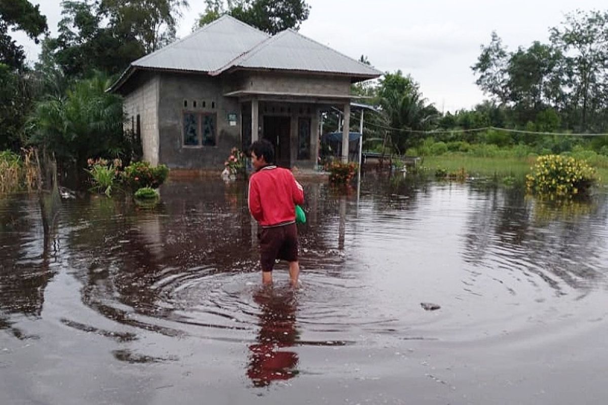 Dua kepala keluarga mengungsi akibat banjir di Pulang Pisau
