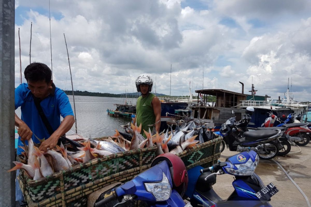 Aliansi Nelayan Natuna tolak legalisasi cantrang