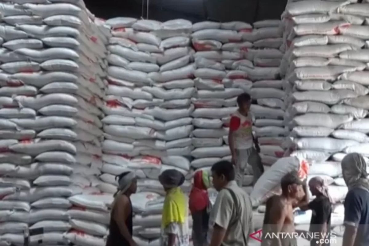 Stok beras di Tanjungpinang selama empat bulan mendatang