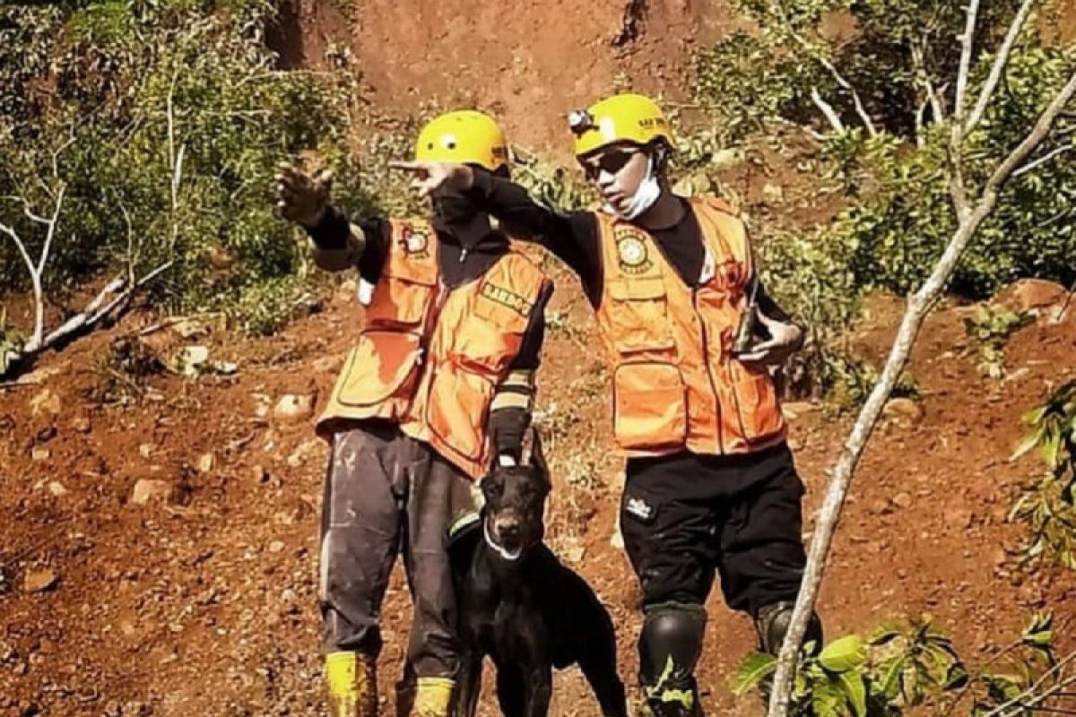 Kejelian anjing pelacak endus korban tanah longsor di Nganjuk