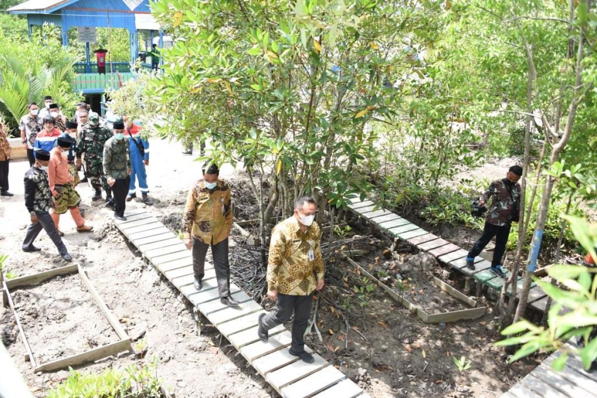 Mangrove salah satu solusi atasi abrasi pantai di Bengkalis