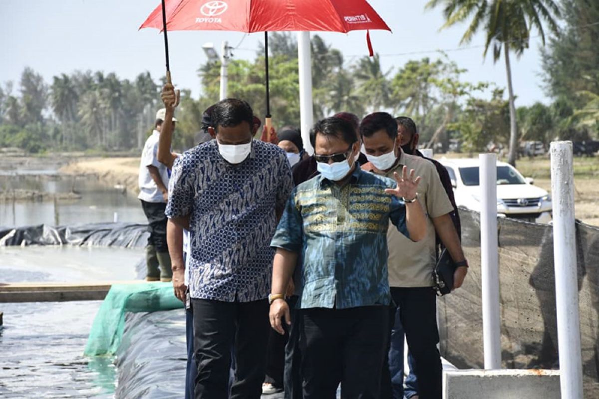 KKP survei lokasi pengembangan budi daya udang di Aceh Timur