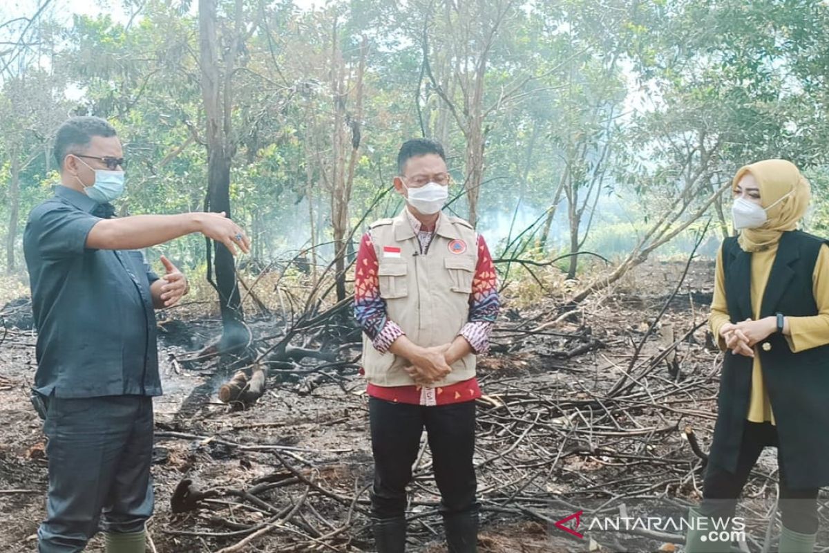 Edi Kamtono diminta investigasi lokasi lahan terbakar